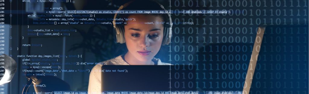 Yazılım Bakım / Destek